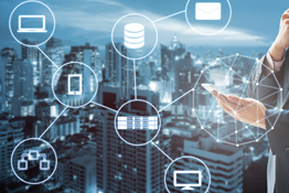 Managed IT Support and Consulting